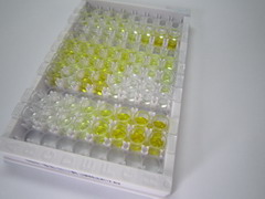 ELISA Kit for Utrophin (UTRN)