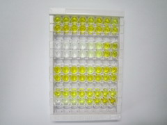 ELISA Kit for Neuropeptide Y Receptor Y2 (NPY2R)