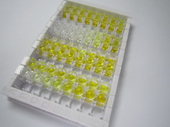 ELISA Kit for G Protein Coupled Estrogen Receptor 1 (GPER)