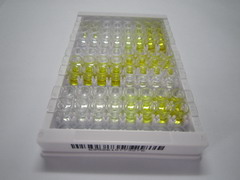 ELISA Kit for Corin (CRN)