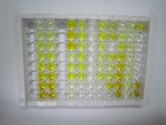 ELISA Kit for ATPase, Na+/K+ Transporting Alpha 1 Polypeptide (ATP1a1)