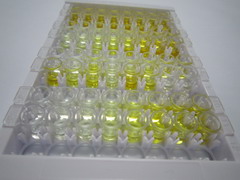 ELISA Kit for Calbindin (CALB)