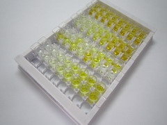 ELISA Kit for Cerebral Dopamine Neurotrophic Factor (CDNF)