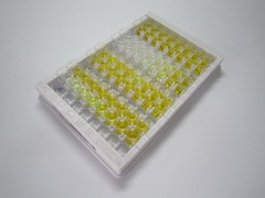 ELISA Kit for Phosphatidylethanolamine Binding Protein 1 (PEBP1)