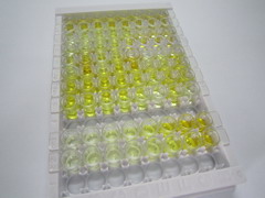 ELISA Kit for Triggering Receptor Expressed On Myeloid Cells 2 (TREM2)