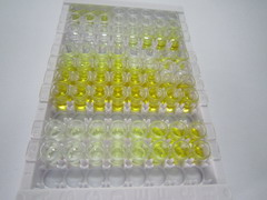 ELISA Kit for Mdm2 p53 Binding Protein Homolog (MDM2)