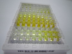 ELISA Kit for Transcobalamin I (TCN1)