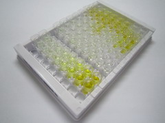 ELISA Kit for Cold Inducible RNA Binding Protein (CIRBP)