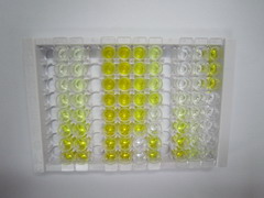 ELISA Kit for Voltage Dependent Anion Channel Protein 1 (VDAC1)