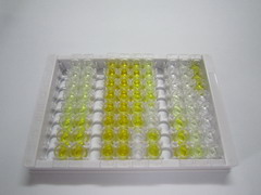 ELISA Kit for Vasorin (VASN)