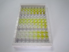 ELISA Kit for Pyruvate Carboxylase (PC)