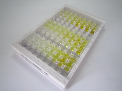 ELISA Kit for Paired Box Gene 9 (PAX9)