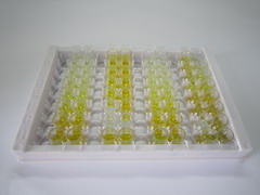 ELISA Kit for Neuritin 1 (NRN1)