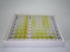 ELISA Kit for Mesothelin (MSLN)