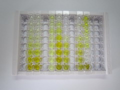 ELISA Kit for Lymphocyte Antigen 96 (LY96)