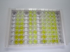 ELISA Kit for Klotho (KL)