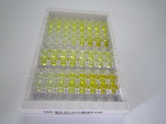 ELISA Kit for Klotho (KL)