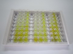 ELISA Kit for Inter Alpha-Globulin Inhibitor H4 (ITIH4)