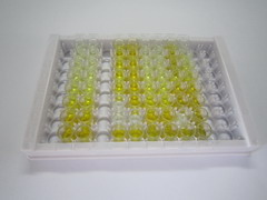 ELISA Kit for Inter Alpha-Globulin Inhibitor H1 (ITIH1)