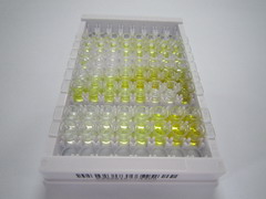 ELISA Kit for Exosome Component 2 (EXOSC2)