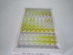 ELISA Kit for Urocanase Domain Containing Protein 1 (UROC1)