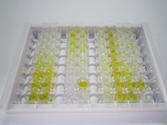 ELISA Kit for Hepatocyte Growth Factor Activator (HGFAC)