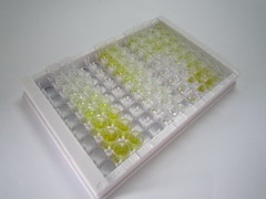 ELISA Kit for Glucose-6-Phosphatase, Catalytic (G6PC)