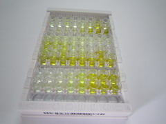 ELISA Kit for Filaggrin (FLG)