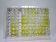 ELISA Kit for Diacylglycerol-O-Acyltransferase Homolog 2 (DGAT2)