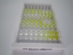 ELISA Kit for Casein Kappa (CSN3)