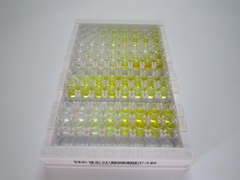 ELISA Kit for Catechol-O-Methyltransferase (COMT)