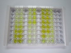 ELISA Kit for Chitinase 3 Like Protein 2 (CHI3L2)