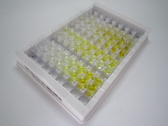 ELISA Kit for Beclin 1 (BECN1)