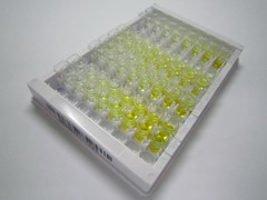 ELISA Kit for Phosphoinositide-3-Kinase Class 3 (PIK3C3)