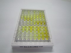 ELISA Kit for A Disintegrin And Metalloproteinase With Thrombospondin 4 (ADAMTS4)