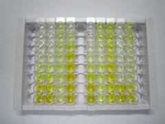 ELISA Kit for Transmembrane Protein 27 (TMEM27)