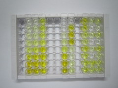 ELISA Kit for Programmed Cell Death Protein 4 (PDCD4)