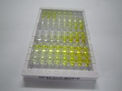 ELISA Kit for Alpha-2-Glycoprotein 1, Zinc Binding (aZGP1)