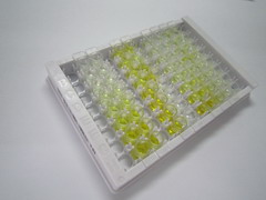 ELISA Kit for Semaphorin 3A (SEMA3A)