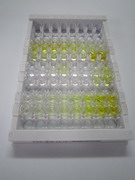 ELISA Kit for Semaphorin 3A (SEMA3A)