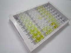 ELISA Kit for Semaphorin 3E (SEMA3E)