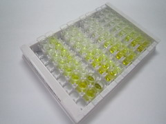 ELISA Kit for NADH Dehydrogenase, Quinone 1 (NQO1)