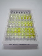 ELISA Kit for Salt Inducible Kinase 2 (SIK2)