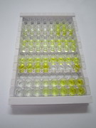 ELISA Kit for Steroid 5 Alpha Reductase 2 (SRD5a2)