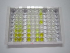 ELISA Kit for Steroid 5 Alpha Reductase 1 (SRD5a1)