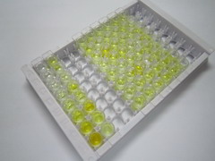 ELISA Kit for CD200 Receptor 1 (CD200R1)