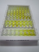 ELISA Kit for Epigen (EPG)