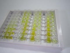 ELISA Kit for Retinol Binding Protein 5, Cellular (RBP5)