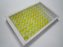 ELISA Kit for Defensin Beta 119 (DEFb119)