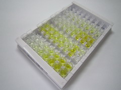 ELISA Kit for Immunoglobulin G2a (IgG2a)